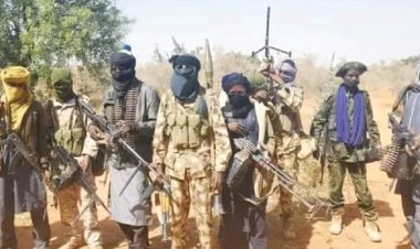 Kidnapped Sokoto Tsangaya Students Released