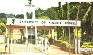 UNN Professor Advocates Indigenous CSR for Community Development