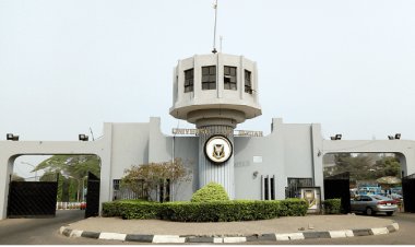 University of Ibadan Appoints Senayon Olaoluwa as Director of TETFund Centre for Diaspora Studies