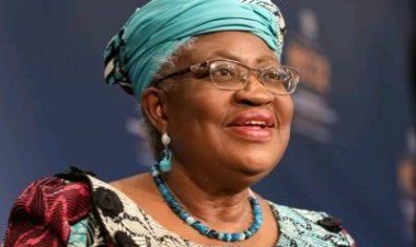 Ngozi Okonjo-Iweala Advocates for Safe Schools Initiative Following Kuriga School Children's Rescue