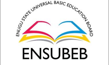 Enugu Education Board Upholds Discipline: Dismisses Five Teachers for Misconduct, Truancy