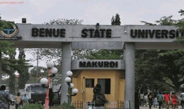 Benue State University Teaching Hospital Introduces IVF Program to Address Infertility Challenges