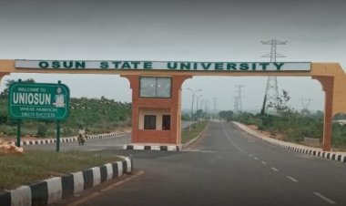 UNIOSUN Server Experiences Disruption During Teachers' Recruitment Test