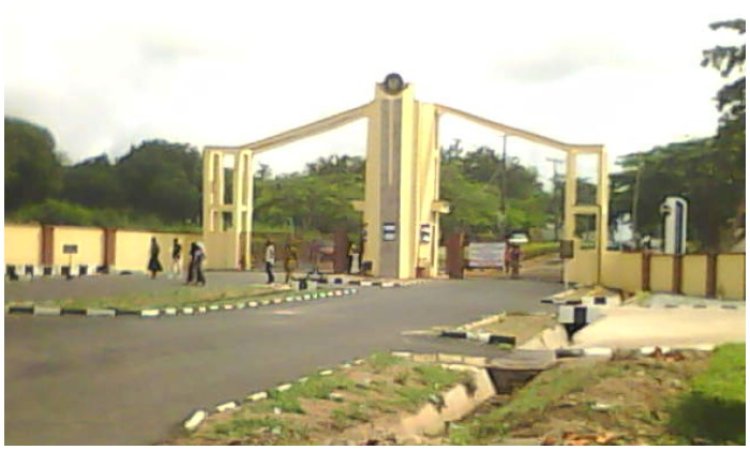 FCE Abeokuta to Graduate 6,444 Students as Provost Rejects Call to Scrap Colleges