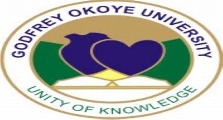 Godfrey Okoye University Launches News Skill Incubation Centre
