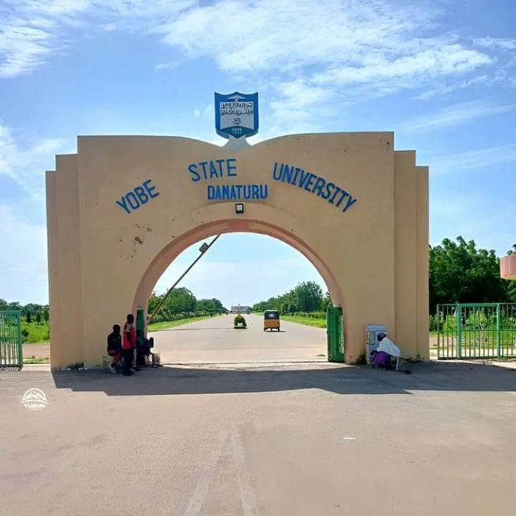ASUU battles Yobe State University over unpaid allowances, others