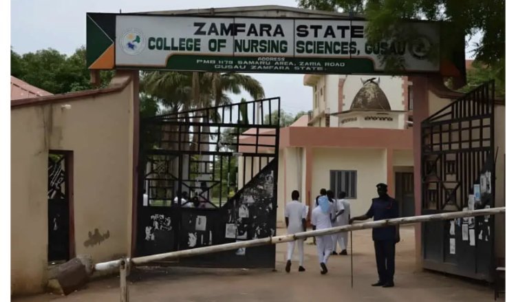 Zamfara College of Nursing Sciences admission form, 2024/2025