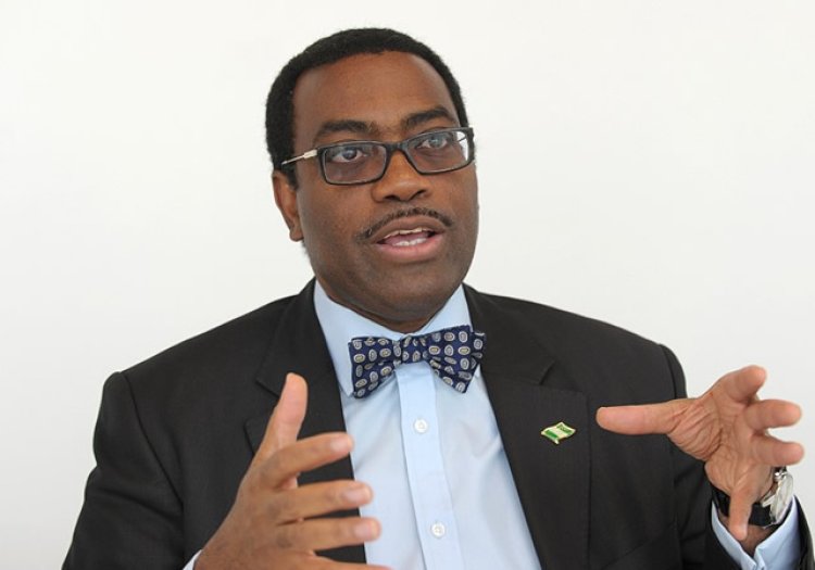 Akinwumi Adesina Highlights Low University Enrollment Rate in Nigeria