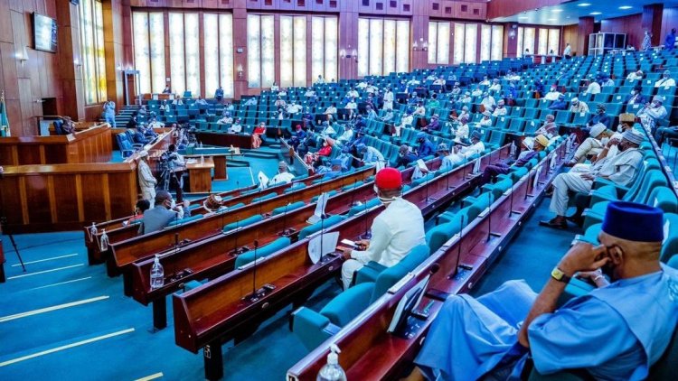 House of Reps Caucus Offers Condolences to NSUK Over Palliative Stampede