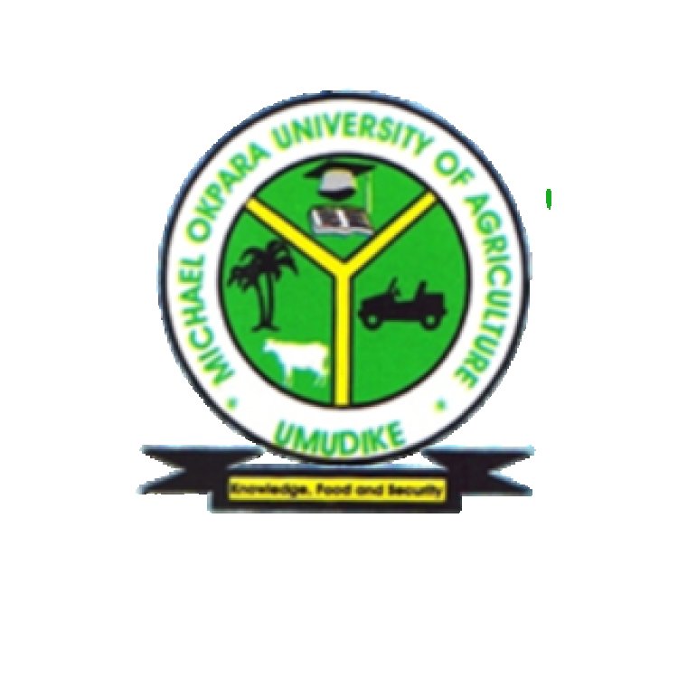 NITIMUN 2024 Essay Submission Deadline Looms for Michael Okpara University Students