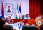 Federal Government Opens Portal for Scholarship : Implements Stricter Criteria for Scholarship Awards to Tertiary Institutions