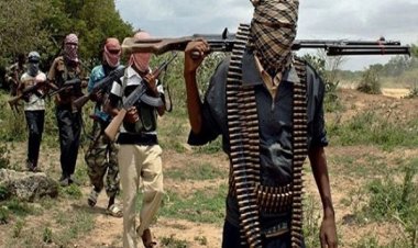 Suspected Herdsmen Abduct Two Taraba Undergraduates