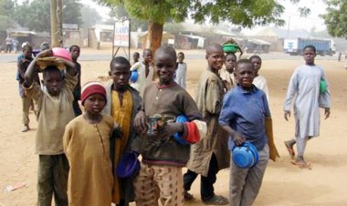 FG Enrolls 2 Million Out-of-School "Almajiri" Children in Basic Education Programs, States Minister
