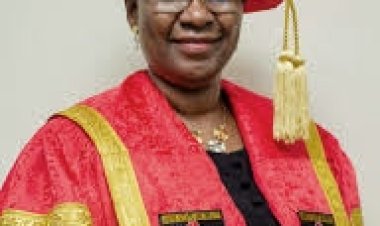 Lagos State University Alumni Demand Immediate Reinstatement of Sacked Lecturers