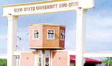 University Professor Sanctioned for Alleged Plagiarism