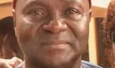 Nigerian Veterinary Medical Association Mourns the Passing of UNIMAID Professor Patrick Azubuike Onyeyili