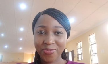 UNIOSUN Lecturer Earns Coveted Nigeria Malaria Modelling Fellowship