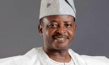 UI Professor, Olutayo Adesina, Wins British Academy Global Award, Defends Nigeria's Education Standard