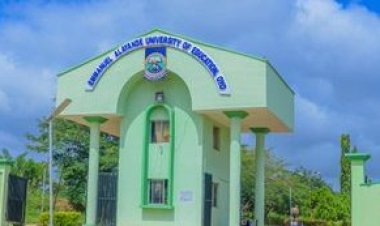 Tragic Loss: Emmanuel Alayande University Mourns Dean's Demise After Surgery at UCH