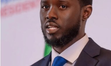 MAAUN President Prof. Gwarzo Congratulates Diomaye Faye on Election as President of Senegal