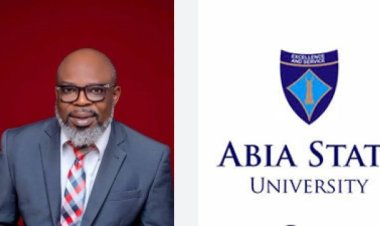 ABSU Deputy Vice Chancellor, Godwin Emezue, Recounts 11-Day Ordeal in Kidnappers Den