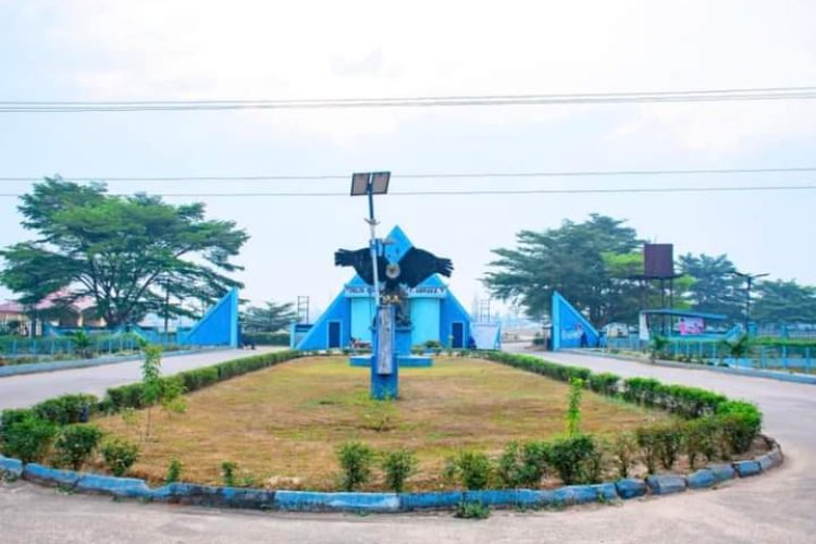 Full List Of Courses Offered In Delta State University (DELSU) Business ...