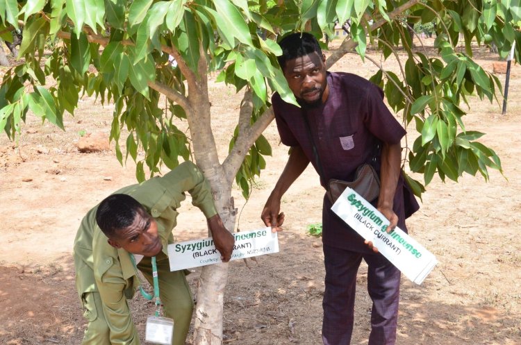 Tree Tagging Initiative at FULafia by NYSC Member Mr. Akighir S. Benjamin