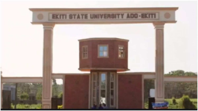 Ekiti State University Imposes Sanctions on Professor for Alleged Plagiarism
