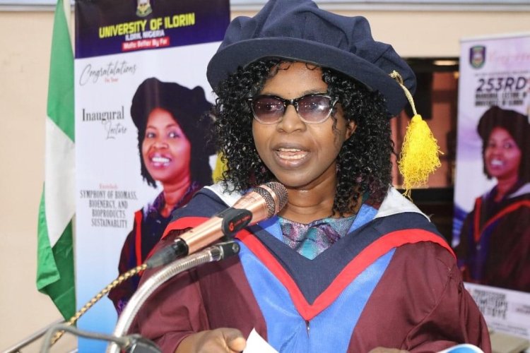 UNILORIN Inaugural Lecture: Prof. Odetoye canvasses homegrown technology-driven economy
