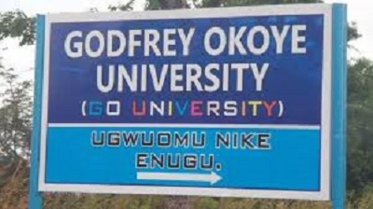 Godfrey Okoye University Launches GO Startup Incubation Centre