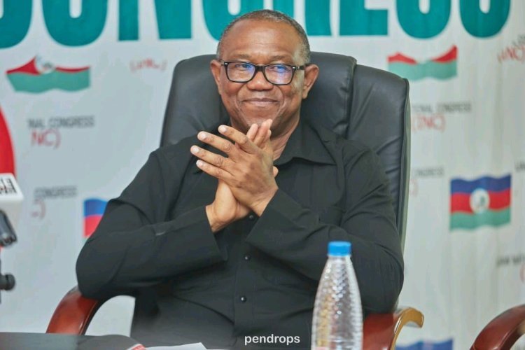 I Did Not Build Schools as Anambra Governor- Peter Obi