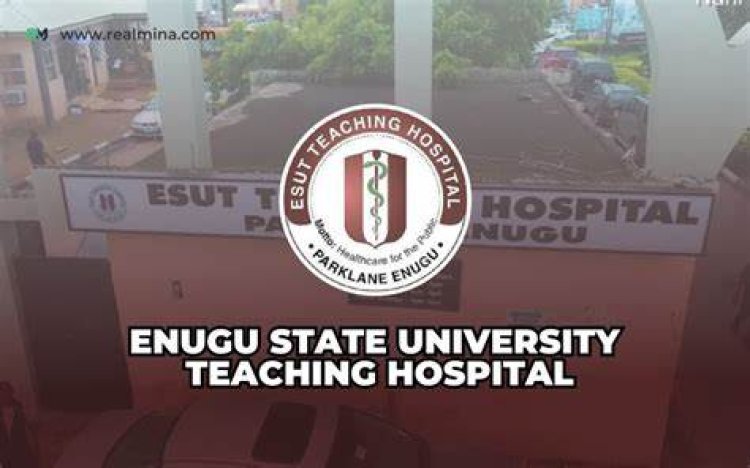 Nursing and Midwifery Council of Nigeria Recommends Full Accreditation for ESUT Nursing Department