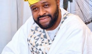 UNILORIN Appoints Femi Adebayo into Advocates' Council