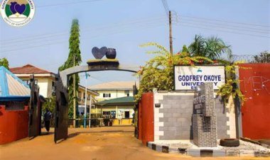 Godfrey Okoye University Secures N90M Grant for Sustainable Entrepreneurship Curriculum Project