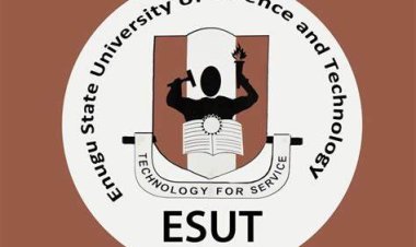 Nursing Council of Nigeria Approves Internship Program for ESUT Teaching Hospital