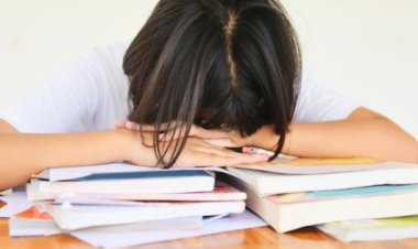 Exploring Options After Not Getting Admitted to Your Desired Course