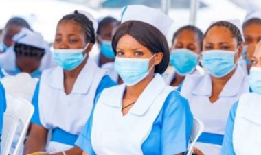 See the difference between studying BSc and HND in nursing