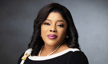 Dr. Nneka Onyeali-Ikpe: From First Female Fidelity Bank CEO to Chairperson of Nwafor Orizu College of Education