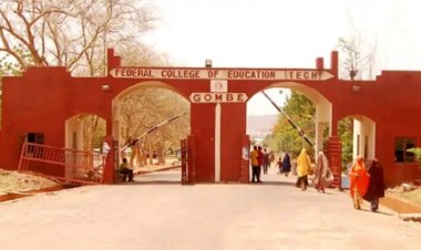Federal College of Education (Technical), Gombe Faces Criticism Over Delayed Result Issuance