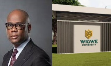 Wigwe University Might Be The Most Expensive Institution In Nigeria