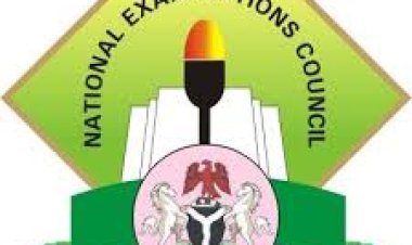 NECO Announces Special Provisions for Albinos and Blind Candidates in 2024 Examinations