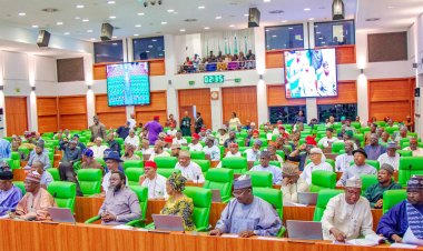 Bill for Establishment of Obafemi/Owode Vocational Skills University Passes Second Reading