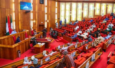 Nigerian Senate Advances Bill for Establishment of Federal University of Agriculture and Entrepreneurship in Bama