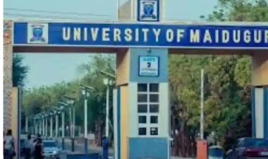 NANS Convenes Urgent Assembly at University of Maiduguri