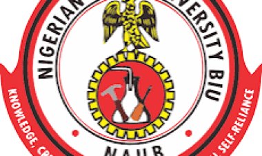 NAUB IJMB Admission Form 2024/2025 Academic Session