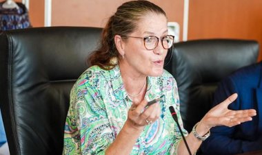 Over 4,000 Nigerians Currently Schooling in Germany, Says Envoy