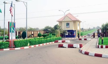 American University of Nigeria Graduates 207 Students, Including First Set of Engineering Graduates