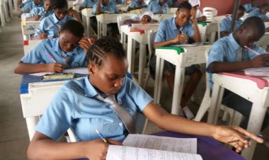 Kano Government Sets Up Committee to Investigate Mass Failure in Secondary School Qualifying Exam