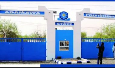 Adamawa State Polytechnic Announces Admission of 2,818 New Students