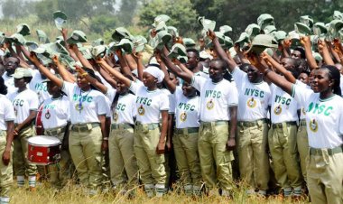 Chaos Erupts as Cow Stampede Hits National Youth Service Corps (NYSC) Camp